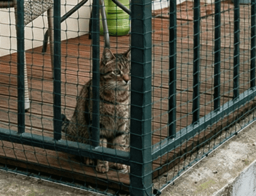 Jak wybrać trwałe zabezpieczenie dołu balkonu w budynkach mieszkalnych?